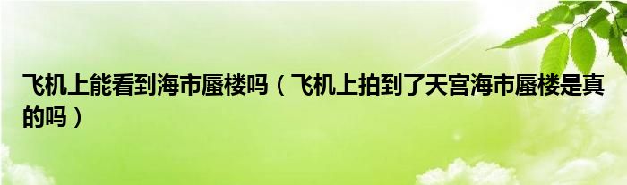 飞机上能看到海市蜃楼吗（飞机上拍到了天宫海市蜃楼是真的吗）