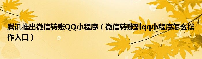 腾讯推出微信转账QQ小程序（微信转账到qq小程序怎么操作入口）