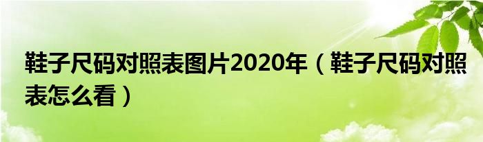 鞋子尺码对照表图片2020年（鞋子尺码对照表怎么看）