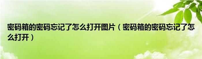 密码箱的密码忘记了怎么打开图片（密码箱的密码忘记了怎么打开）