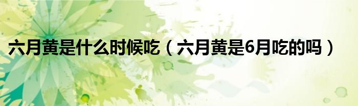 六月黄是什么时候吃（六月黄是6月吃的吗）