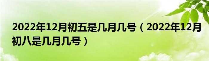 2022年12月初五是几月几号（2022年12月初八是几月几号）