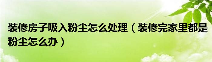 装修房子吸入粉尘怎么处理（装修完家里都是粉尘怎么办）