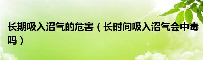 长期吸入沼气的危害（长时间吸入沼气会中毒吗）