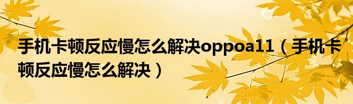 手机卡顿反应慢怎么解决oppoa11（手机卡顿反应慢怎么解决）