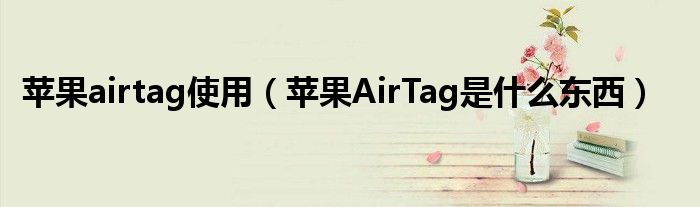 苹果airtag使用（苹果AirTag是什么东西）