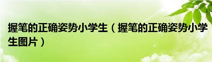 握笔的正确姿势小学生（握笔的正确姿势小学生图片）