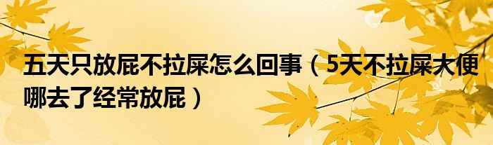 五天只放屁不拉屎怎么回事（5天不拉屎大便哪去了经常放屁）