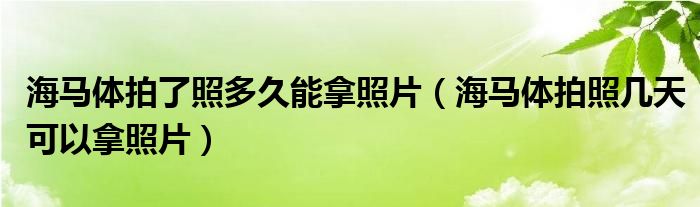 海马体拍了照多久能拿照片（海马体拍照几天可以拿照片）