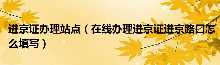 进京证办理站点（在线办理进京证进京路口怎么填写）