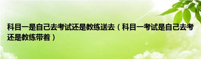 科目一是自己去考试还是教练送去（科目一考试是自己去考还是教练带着）