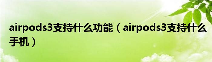 airpods3支持什么功能（airpods3支持什么手机）