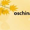 oschina（关于oschina的介绍）