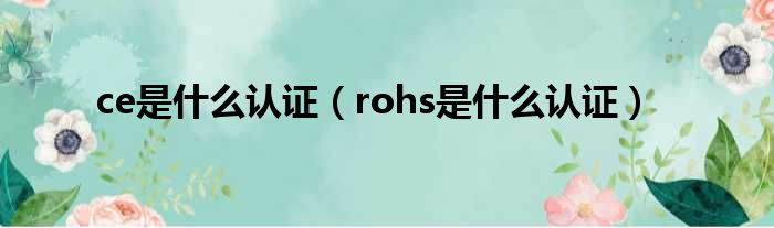 ce是什么认证（rohs是什么认证）