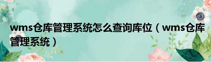 wms仓库管理系统怎么查询库位（wms仓库管理系统）