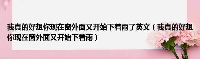 我真的好想你现在窗外面又开始下着雨了英文（我真的好想你现在窗外面又开始下着雨）