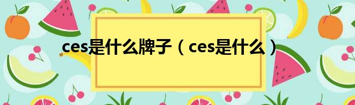 ces是什么牌子（ces是什么）