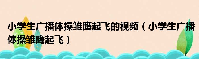 小学生广播体操雏鹰起飞的视频（小学生广播体操雏鹰起飞）