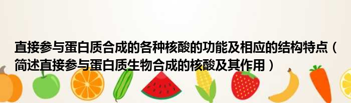 直接参与蛋白质合成的各种核酸的功能及相应的结构特点（简述直接参与蛋白质生物合成的核酸及其作用）