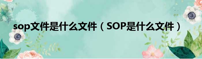 sop文件是什么文件（SOP是什么文件）