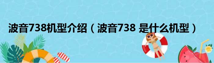 波音738机型介绍（波音738 是什么机型）