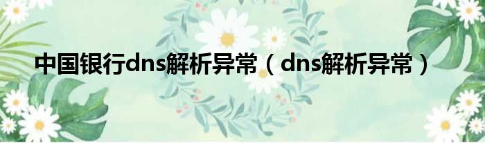 中国银行dns解析异常（dns解析异常）