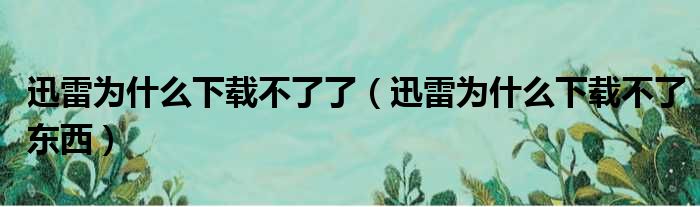 迅雷为什么下载不了了（迅雷为什么下载不了东西）