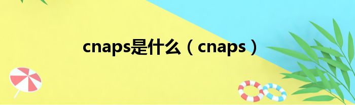 cnaps是什么（cnaps）