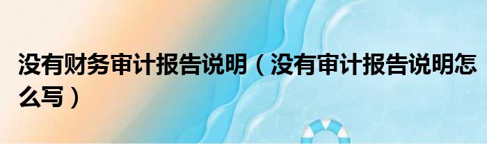 没有财务审计报告说明（没有审计报告说明怎么写）