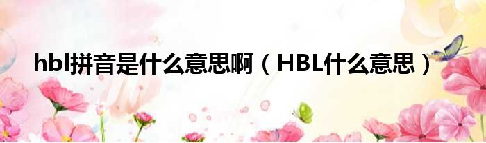 hbl拼音是什么意思啊（HBL什么意思）