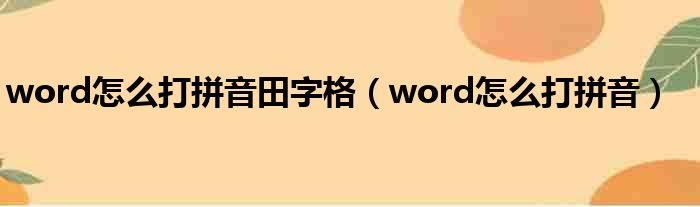 word怎么打拼音田字格（word怎么打拼音）