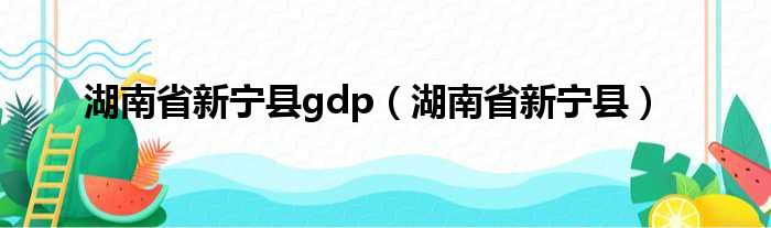 湖南省新宁县gdp（湖南省新宁县）