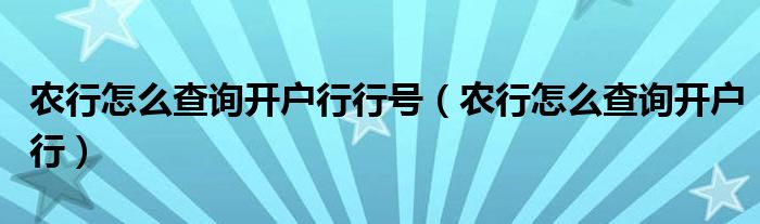 农行怎么查询开户行行号（农行怎么查询开户行）