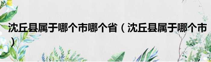 沈丘县属于哪个市哪个省（沈丘县属于哪个市）