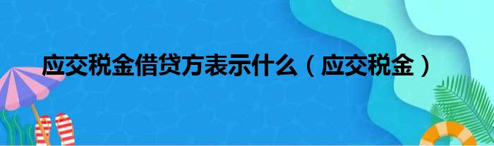 应交税金借贷方表示什么（应交税金）