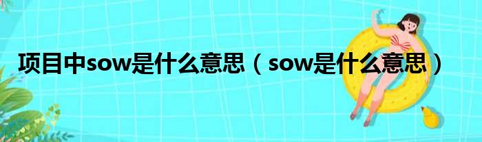 项目中sow是什么意思（sow是什么意思）