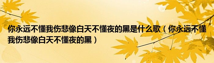 你永远不懂我伤悲像白天不懂夜的黑是什么歌（你永远不懂我伤悲像白天不懂夜的黑）