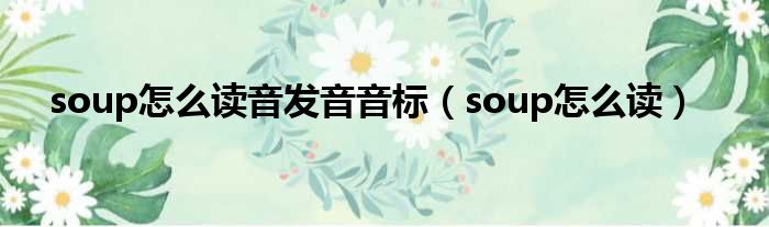 soup怎么读音发音音标（soup怎么读）