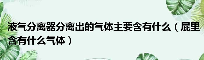 液气分离器分离出的气体主要含有什么（屁里含有什么气体）