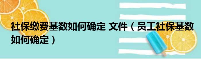 社保缴费基数如何确定 文件（员工社保基数如何确定）