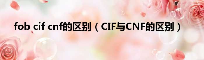 fob cif cnf的区别（CIF与CNF的区别）