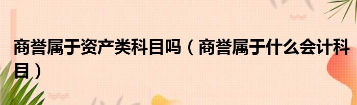 商誉属于资产类科目吗（商誉属于什么会计科目）