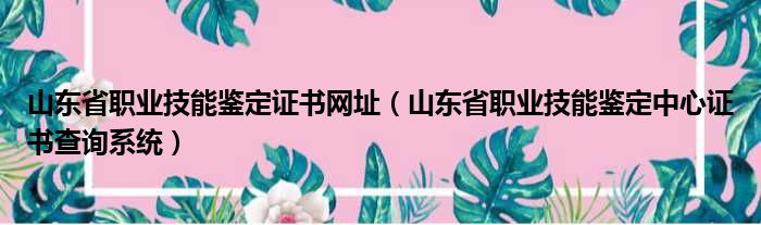 山东省职业技能鉴定证书网址（山东省职业技能鉴定中心证书查询系统）