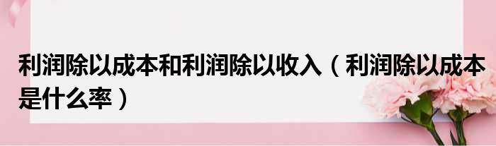 利润除以成本和利润除以收入（利润除以成本是什么率）