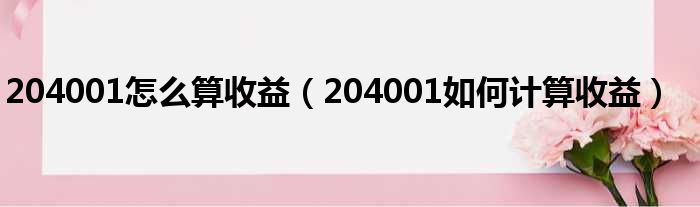 204001怎么算收益（204001如何计算收益）