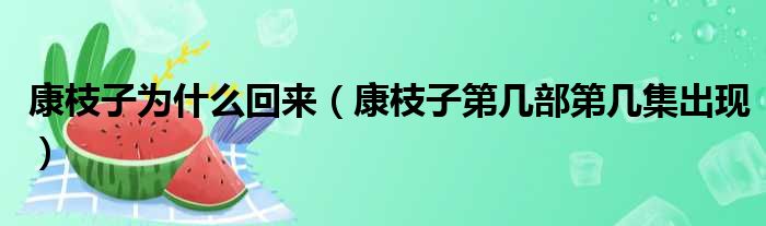 康枝子为什么回来（康枝子第几部第几集出现）