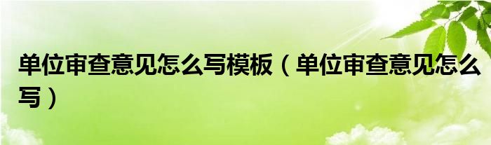 单位审查意见怎么写模板（单位审查意见怎么写）