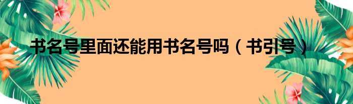 书名号里面还能用书名号吗（书引号）