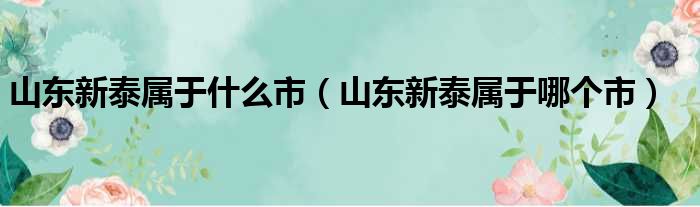 山东新泰属于什么市（山东新泰属于哪个市）