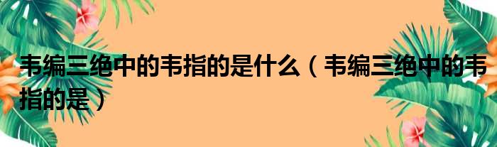 韦编三绝中的韦指的是什么（韦编三绝中的韦指的是）